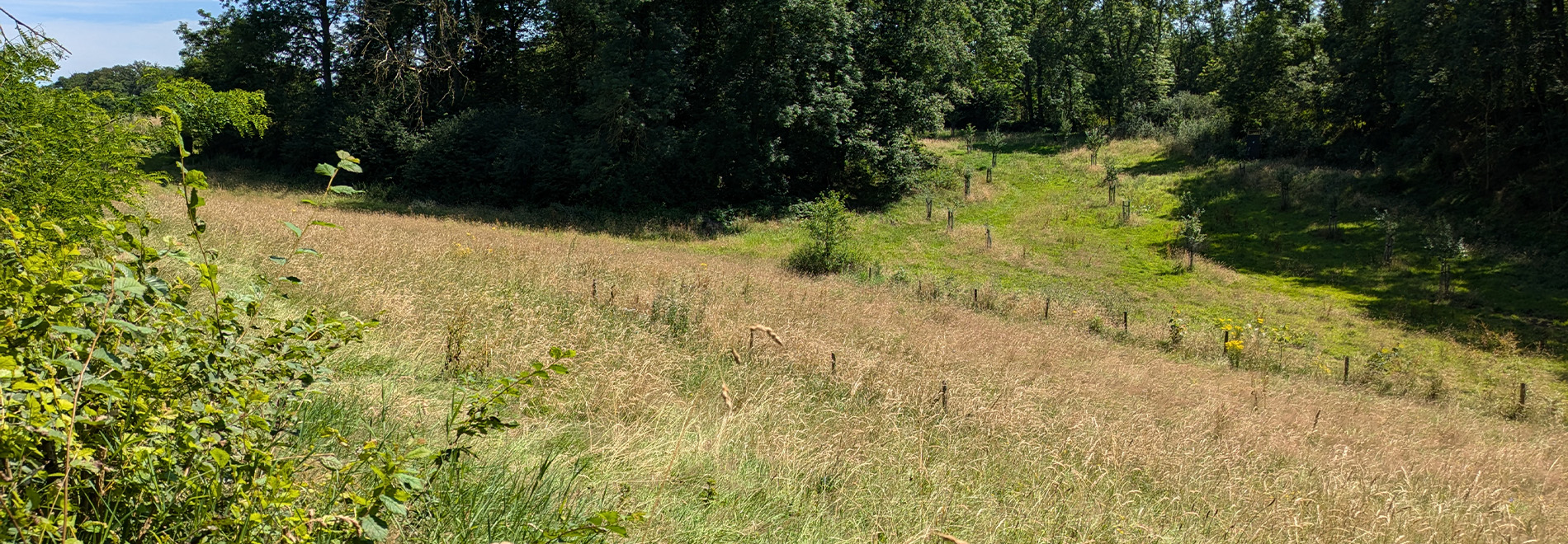 Landschapsatelier Graslanden